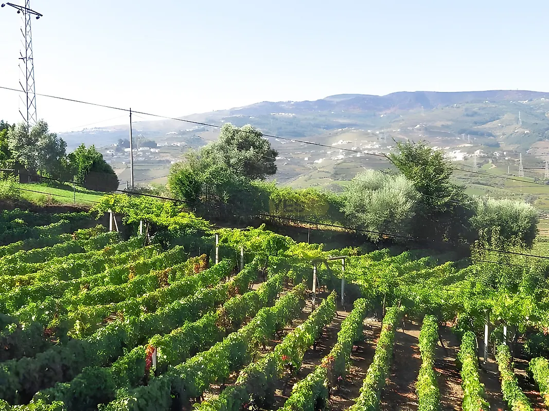 Moradia T4 à venda em Cambres, Lamego — foto 8