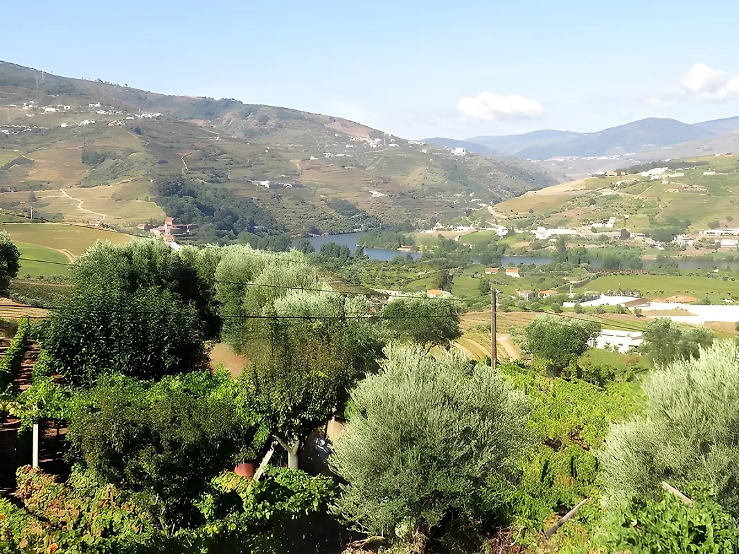 Moradia T4 à venda em Cambres, Lamego — foto 10