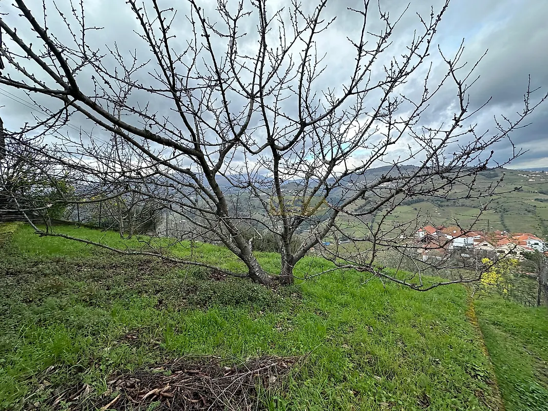 Moradia T2 à venda em Penajóia, Lamego — foto 5