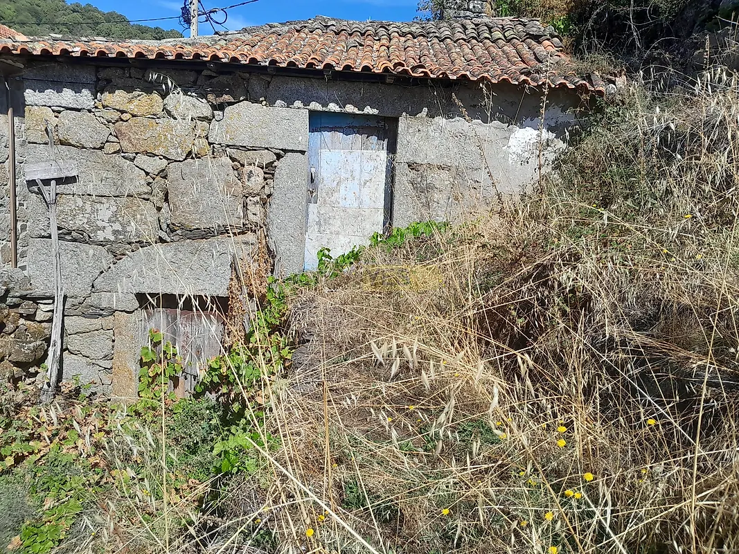 Moradia T0 à venda em Lamego (Almacave e Sé), Lamego — foto 3