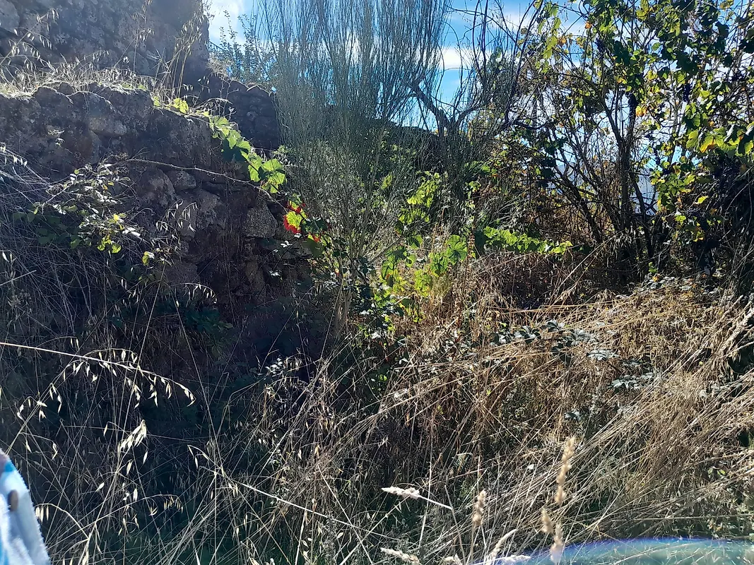 Moradia T0 à venda em Lamego (Almacave e Sé), Lamego — foto 4
