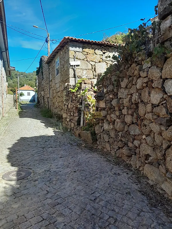 Moradia T0 à venda em Lamego (Almacave e Sé), Lamego — foto 5