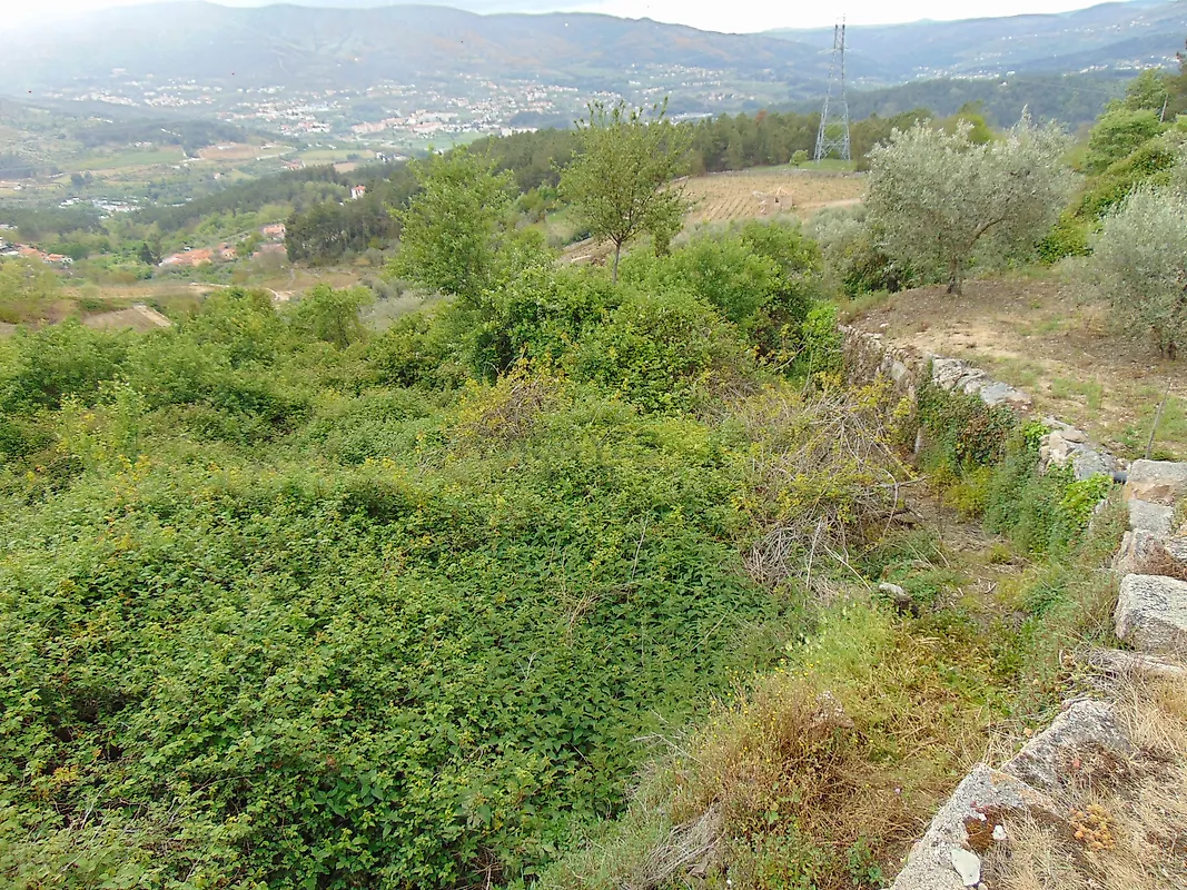 Moradia T0 à venda em Granja Nova e Vila Chã da Beira, Tarouca — foto 11