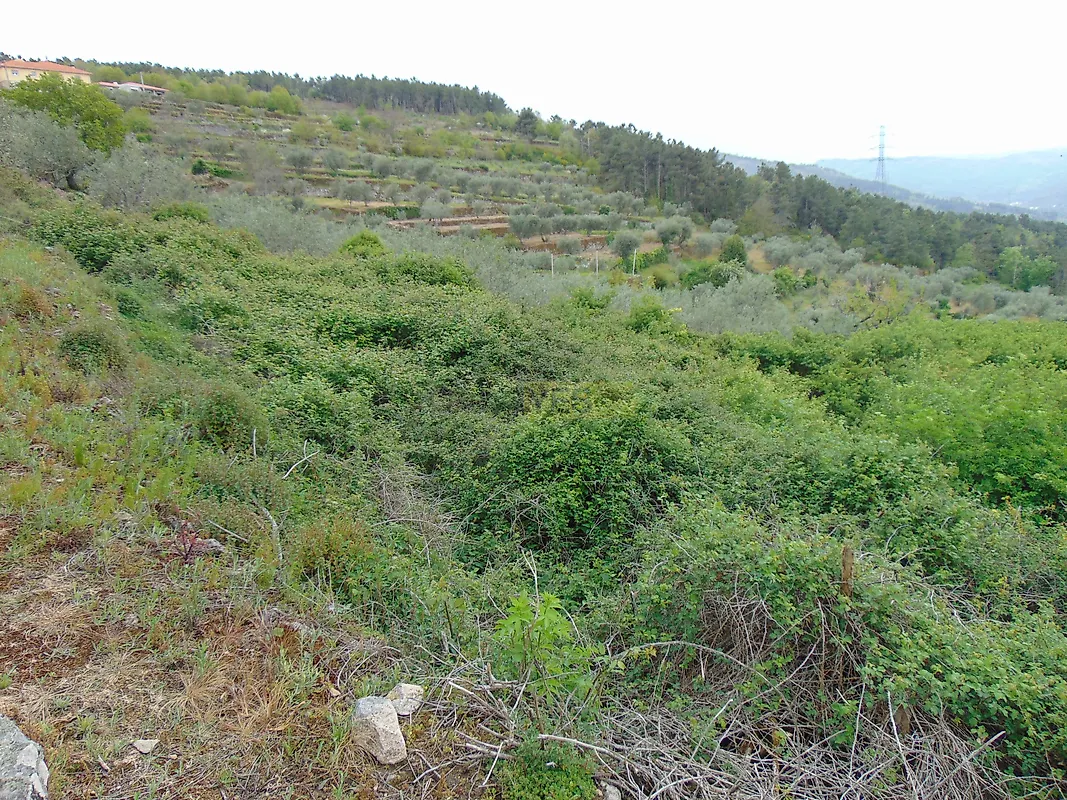 Moradia T0 à venda em Granja Nova e Vila Chã da Beira, Tarouca — foto 12