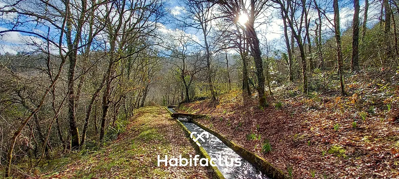 Moradia T4 à venda em Ribafeita, Viseu — foto 39