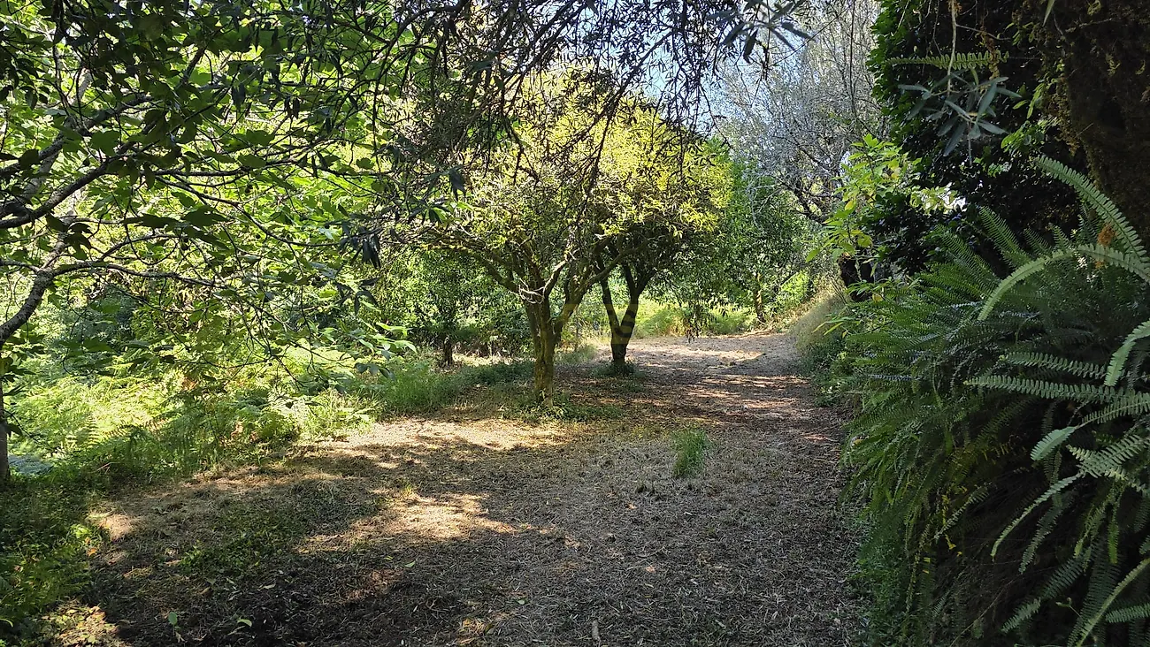 Moradia T0 à venda em Seara, Ponte de Lima — foto 13