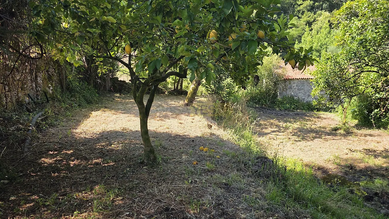 Moradia T0 à venda em Seara, Ponte de Lima — foto 17