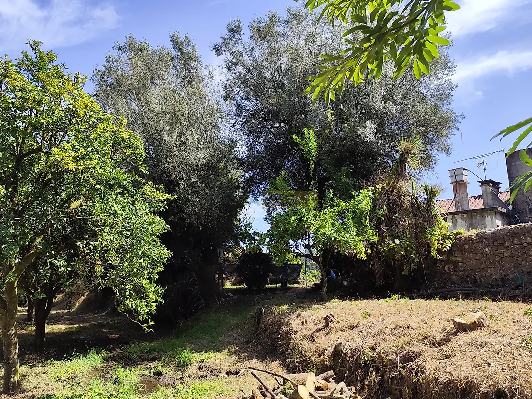 Moradia T0 à venda em Seara, Ponte de Lima — foto 37