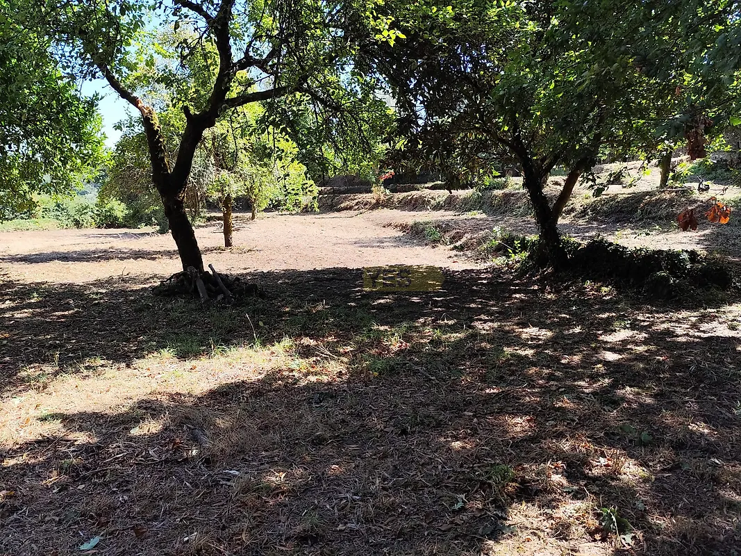 Moradia T0 à venda em Seara, Ponte de Lima — foto 40