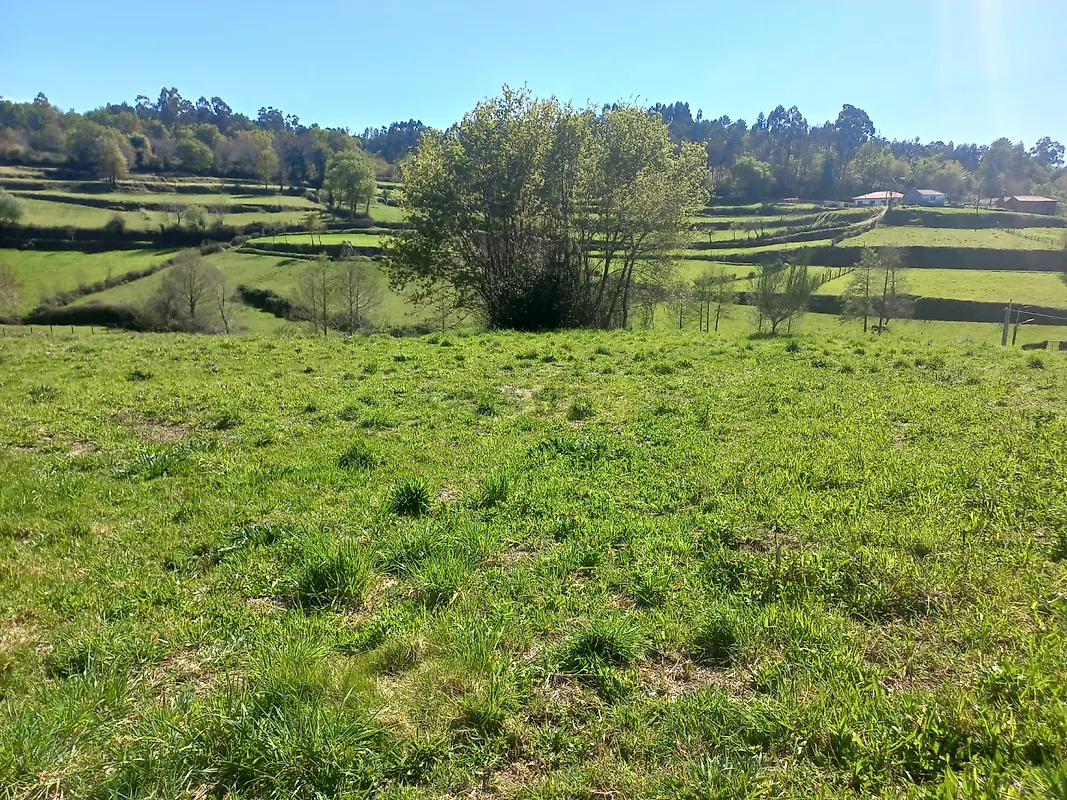 Moradia T1 à venda em Bico e Cristelo, Paredes de Coura — foto 13