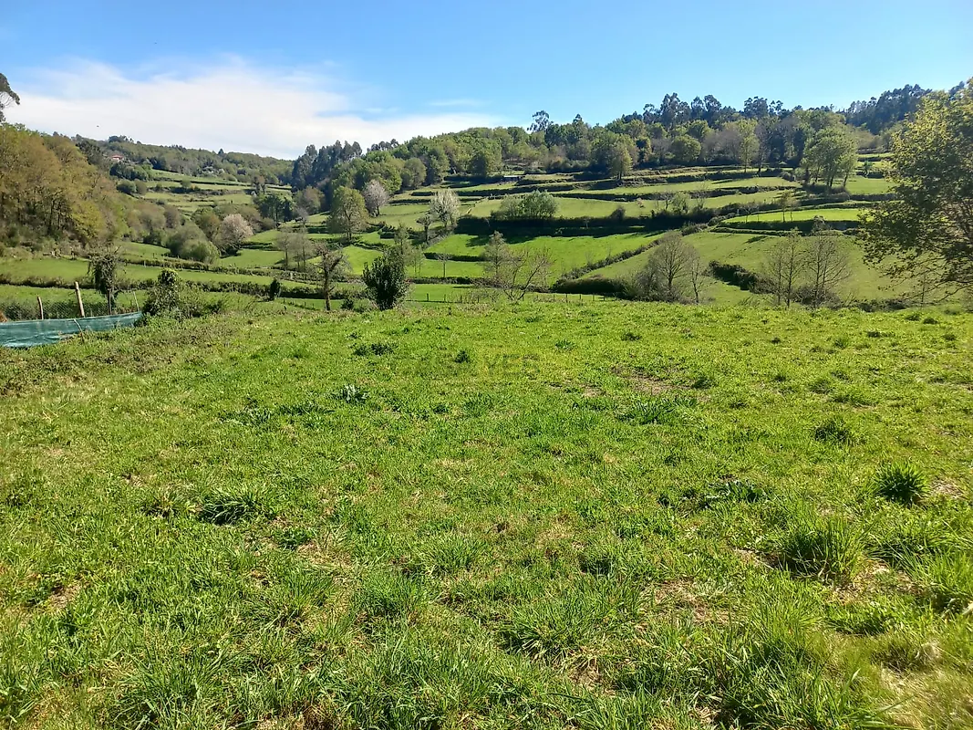 Moradia T1 à venda em Bico e Cristelo, Paredes de Coura — foto 14