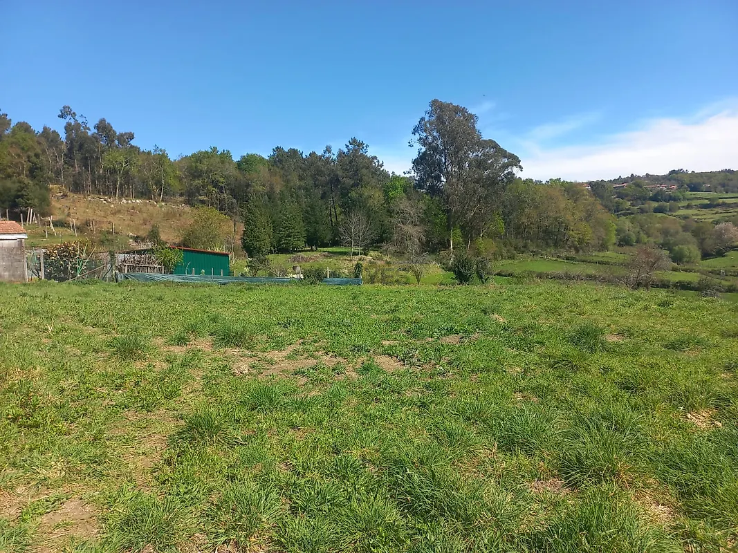 Moradia T1 à venda em Bico e Cristelo, Paredes de Coura — foto 15
