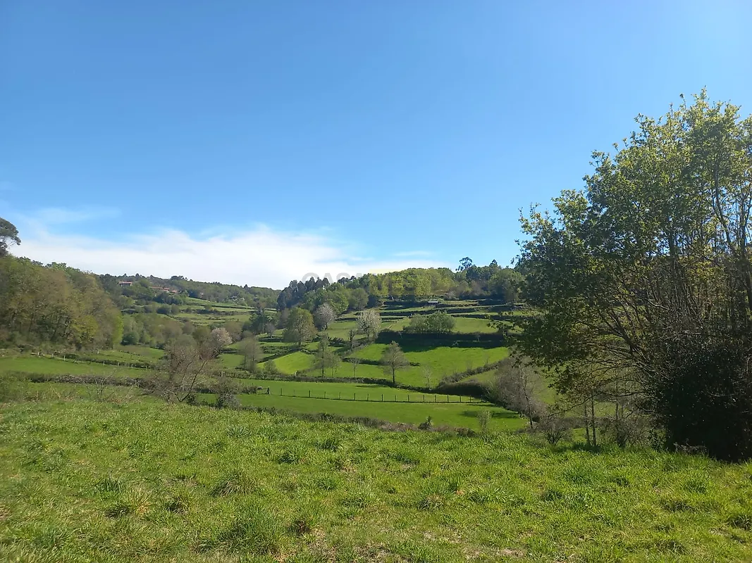 Moradia T1 à venda em Bico e Cristelo, Paredes de Coura — foto 18