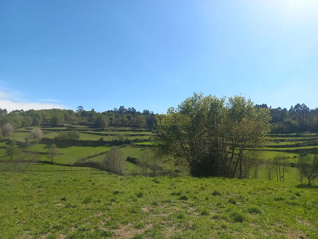 Moradia T1 à venda em Bico e Cristelo, Paredes de Coura — foto 20