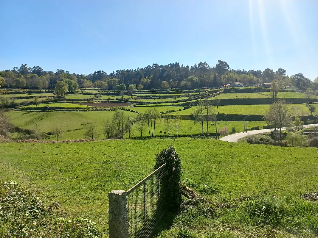 Moradia T1 à venda em Bico e Cristelo, Paredes de Coura — foto 21
