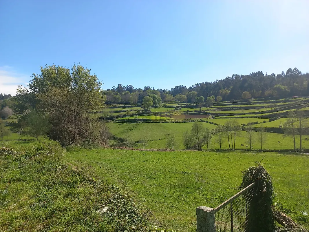 Moradia T1 à venda em Bico e Cristelo, Paredes de Coura — foto 22
