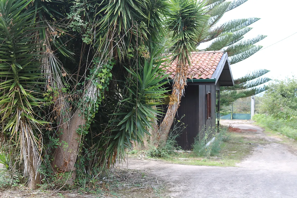 Moradia T1 à venda em São Pedro da Torre, Valença — foto 4
