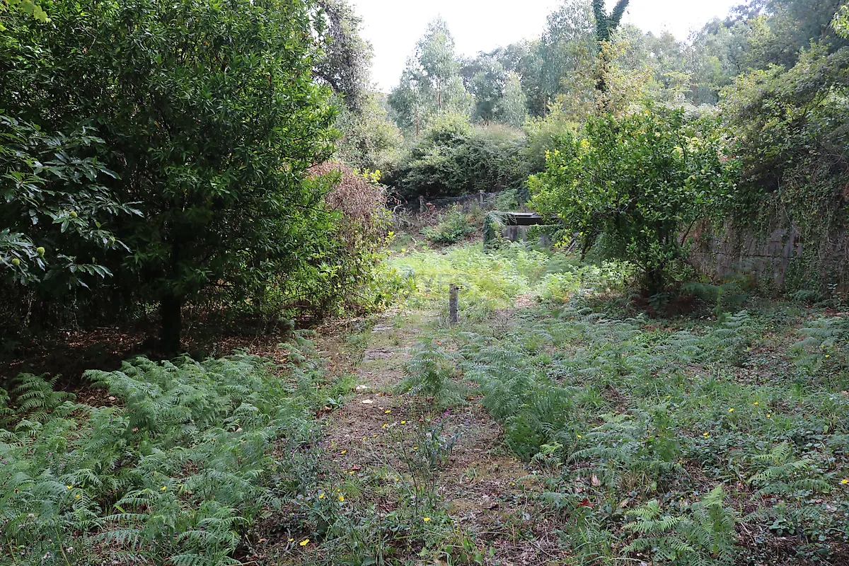 Moradia T1 à venda em São Pedro da Torre, Valença — foto 8