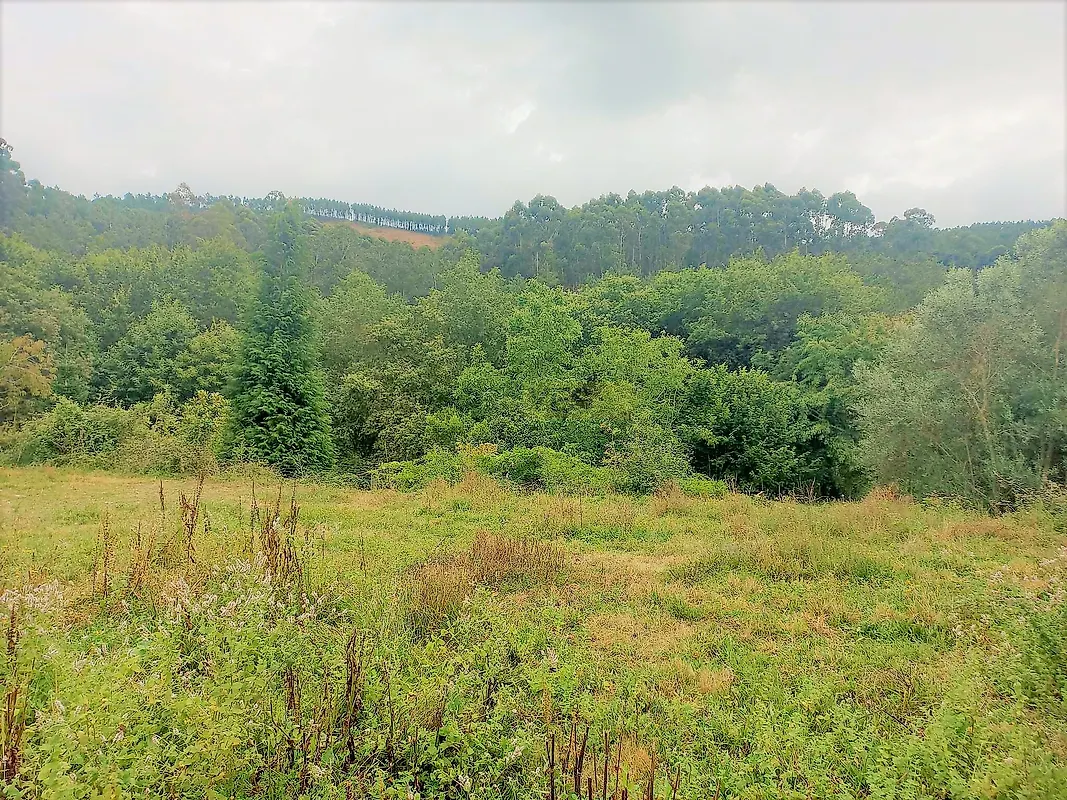 Moradia T0 à venda em Romarigães, Paredes de Coura — foto 7