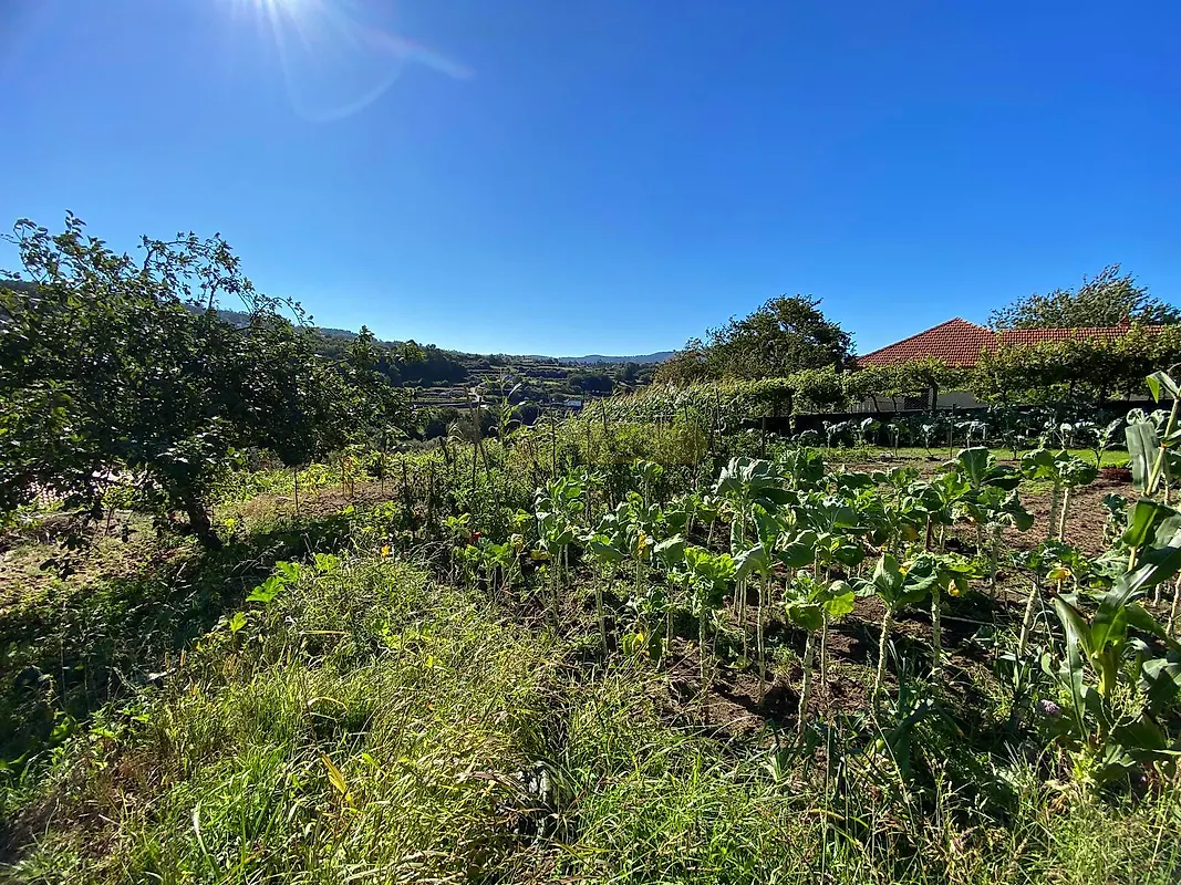 Moradia T0 à venda em Padornelo, Paredes de Coura — foto 7