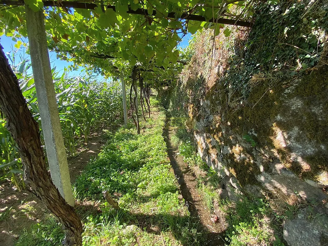 Moradia T0 à venda em Padornelo, Paredes de Coura — foto 8