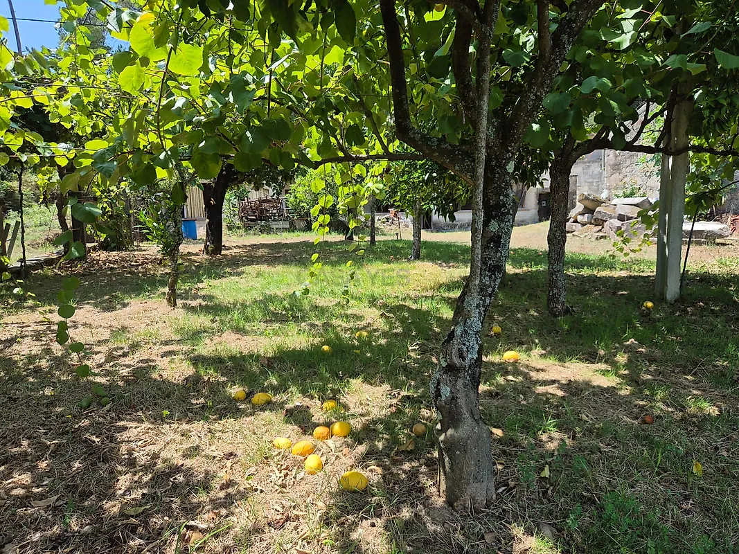 Moradia T2 à venda em Estorãos, Ponte de Lima — foto 2