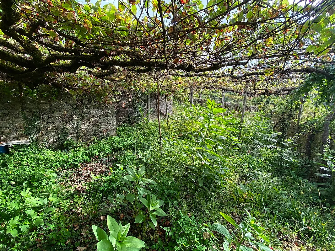 Moradia T3 à venda em Mozelos, Paredes de Coura — foto 23