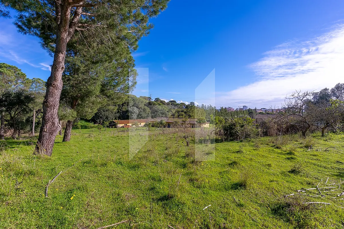 Apartamento T5 à venda em Setúbal (São Julião, Nossa Senhora da Anunciada e Santa Maria da Graça), Setúbal — foto 16
