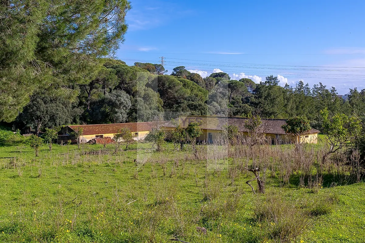 Apartamento T5 à venda em Setúbal (São Julião, Nossa Senhora da Anunciada e Santa Maria da Graça), Setúbal — foto 17