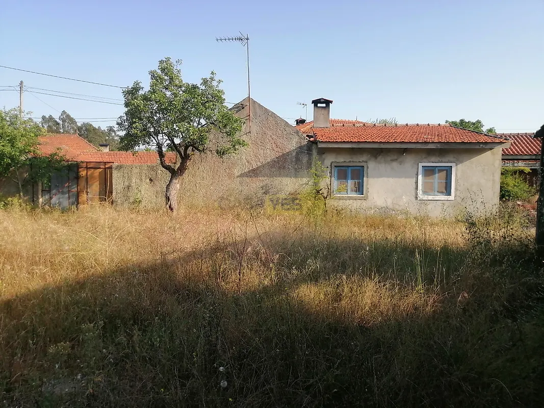 Moradia T3 à venda em Cadima, Cantanhede — foto 2