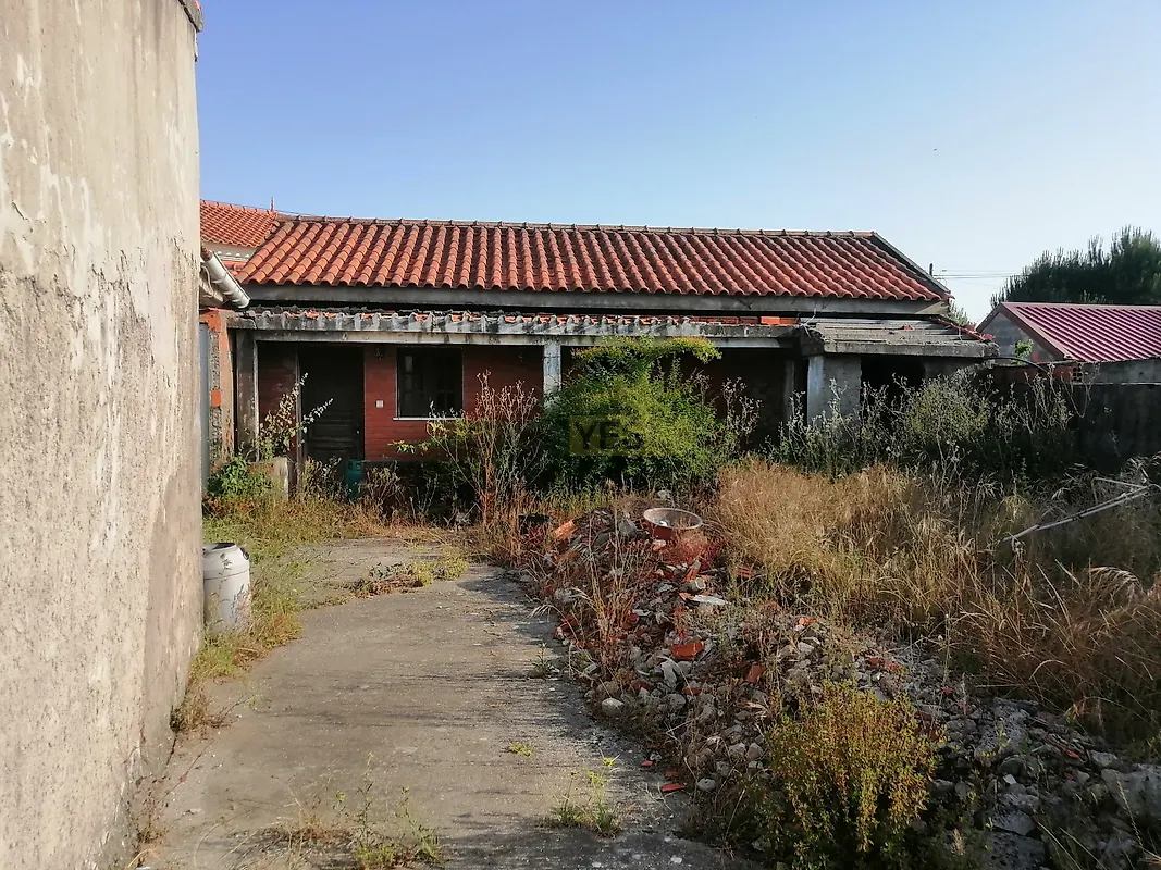 Moradia T3 à venda em Cadima, Cantanhede — foto 4