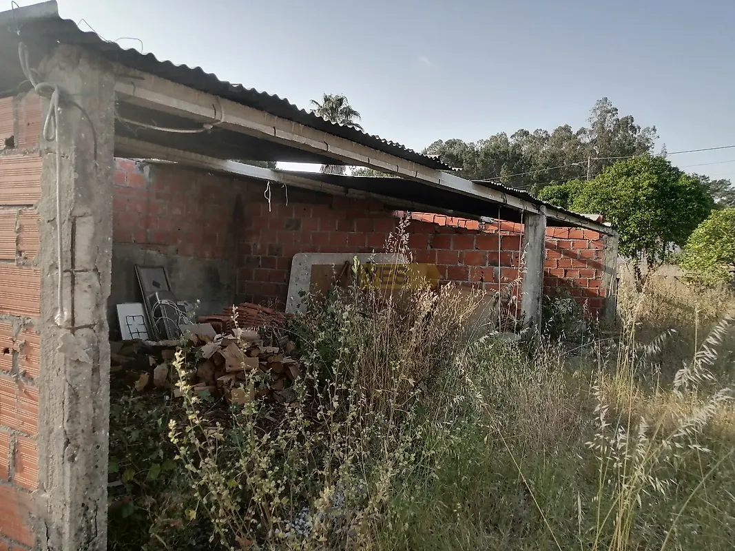 Moradia T3 à venda em Cadima, Cantanhede — foto 6