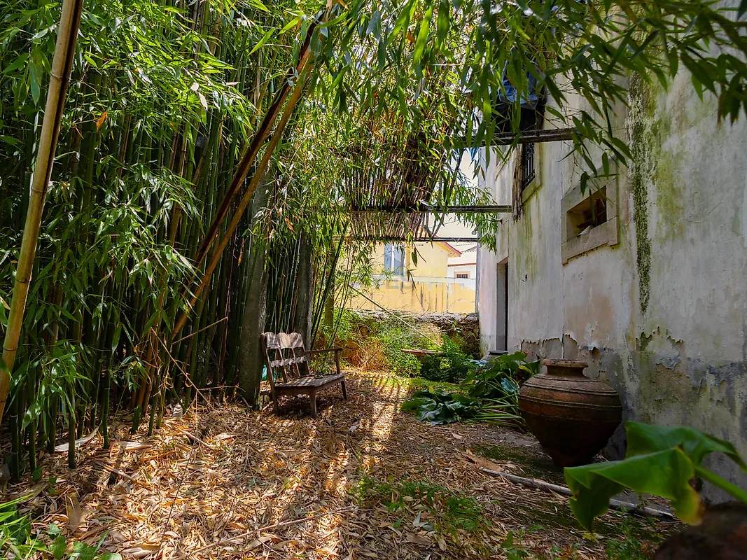 Moradia T4 à venda em Almalaguês, Coimbra — foto 11