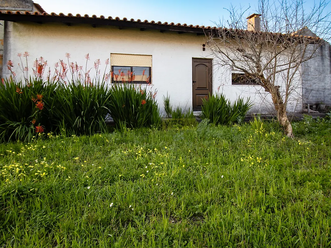 Moradia T4 à venda em Febres, Cantanhede — foto 19