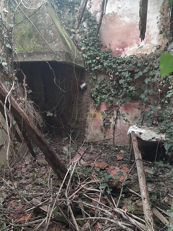 Moradia T3 à venda em Fonte de Angeão e Covão do Lobo, Vagos — foto 11