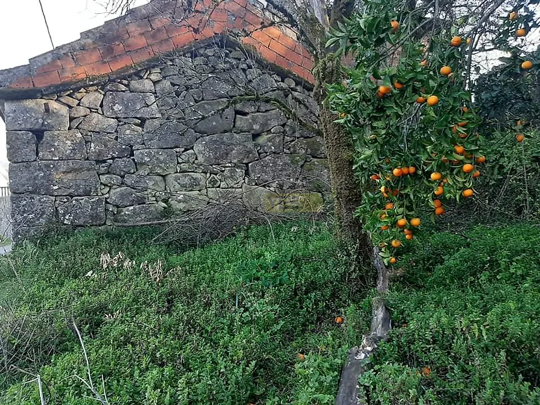 Moradia T2 à venda em Préstimo e Macieira de Alcoba, Águeda — foto 15