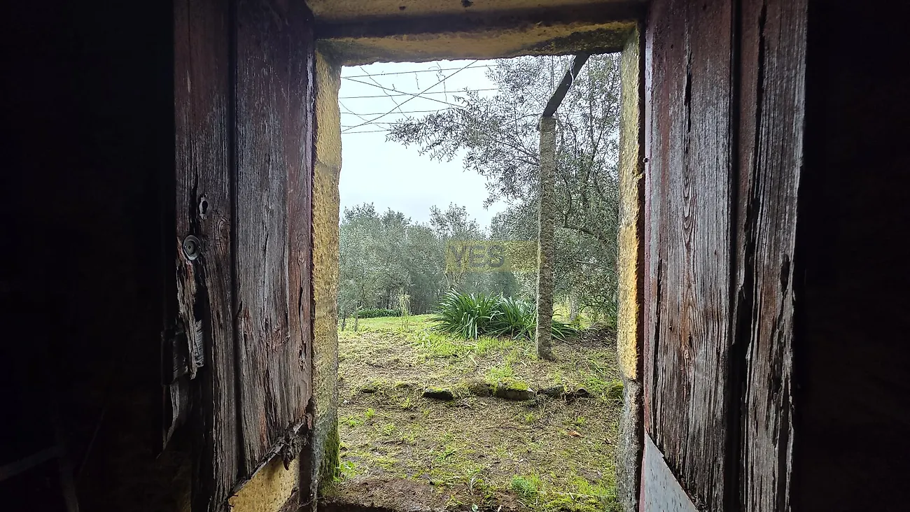 Moradia T3 à venda em Barqueiros, Mesão Frio — foto 16