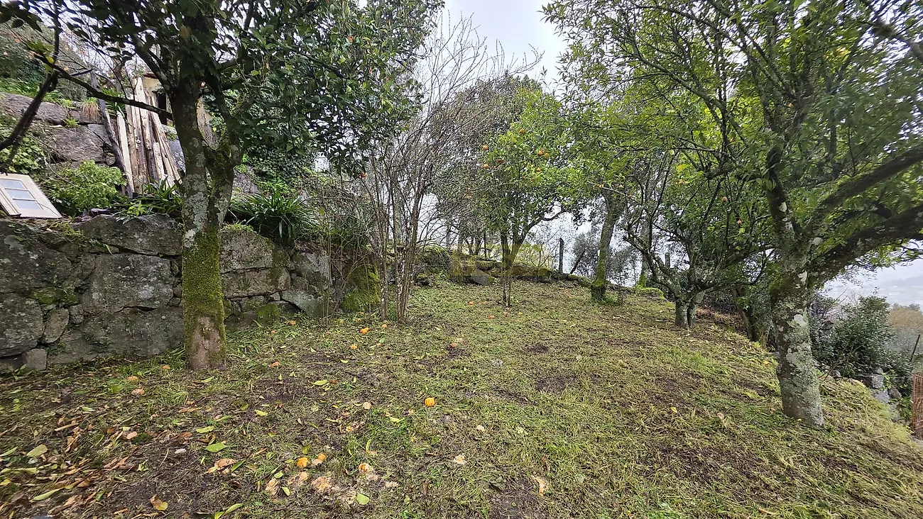 Moradia T3 à venda em Barqueiros, Mesão Frio — foto 25