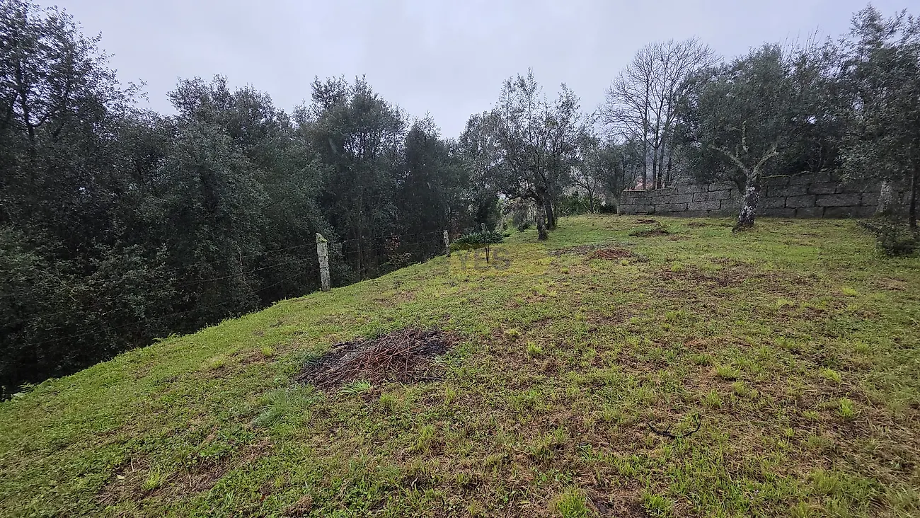 Moradia T3 à venda em Barqueiros, Mesão Frio — foto 28