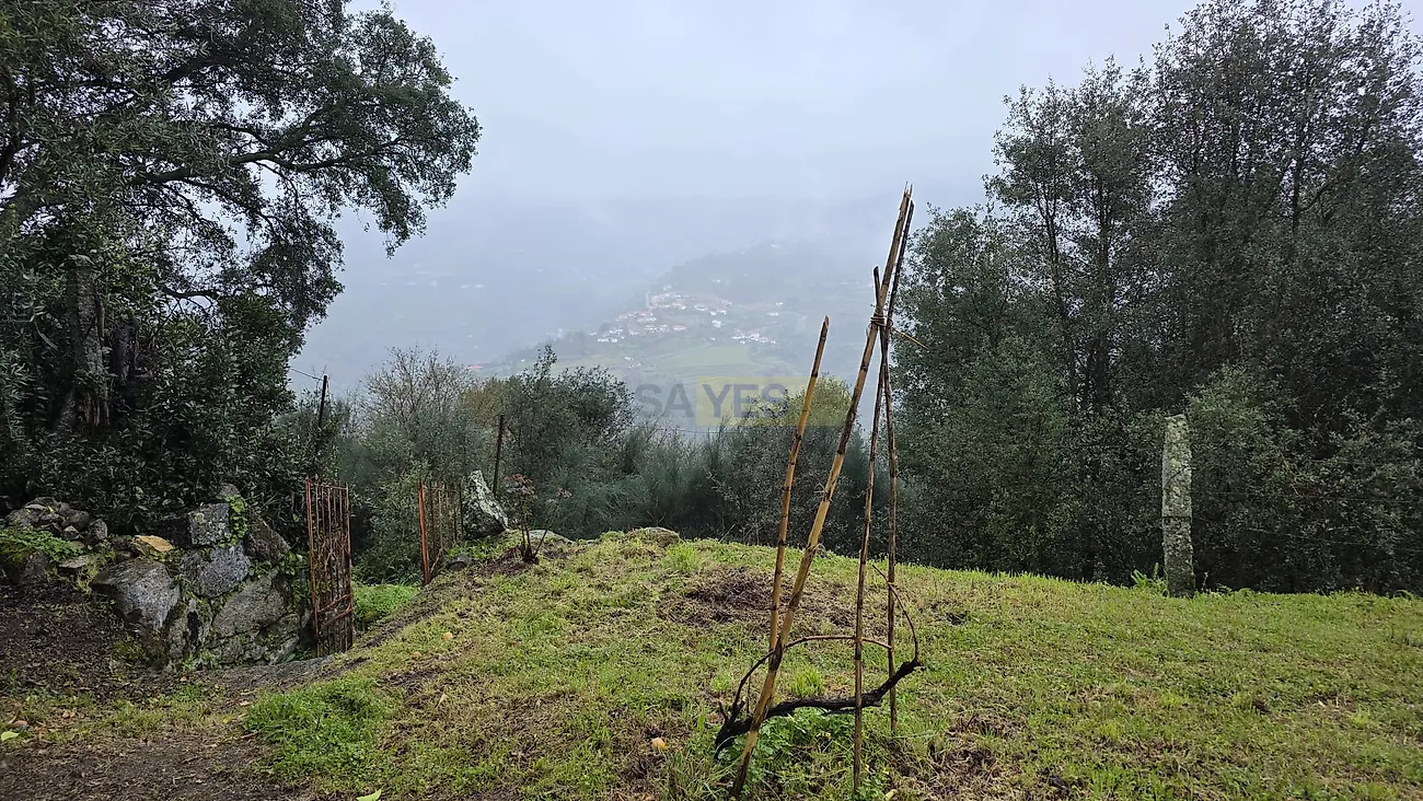 Moradia T3 à venda em Barqueiros, Mesão Frio — foto 29