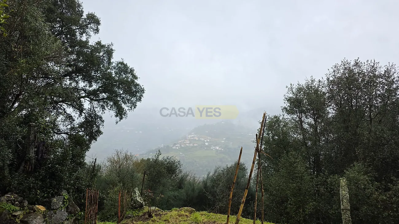 Moradia T3 à venda em Barqueiros, Mesão Frio — foto 30