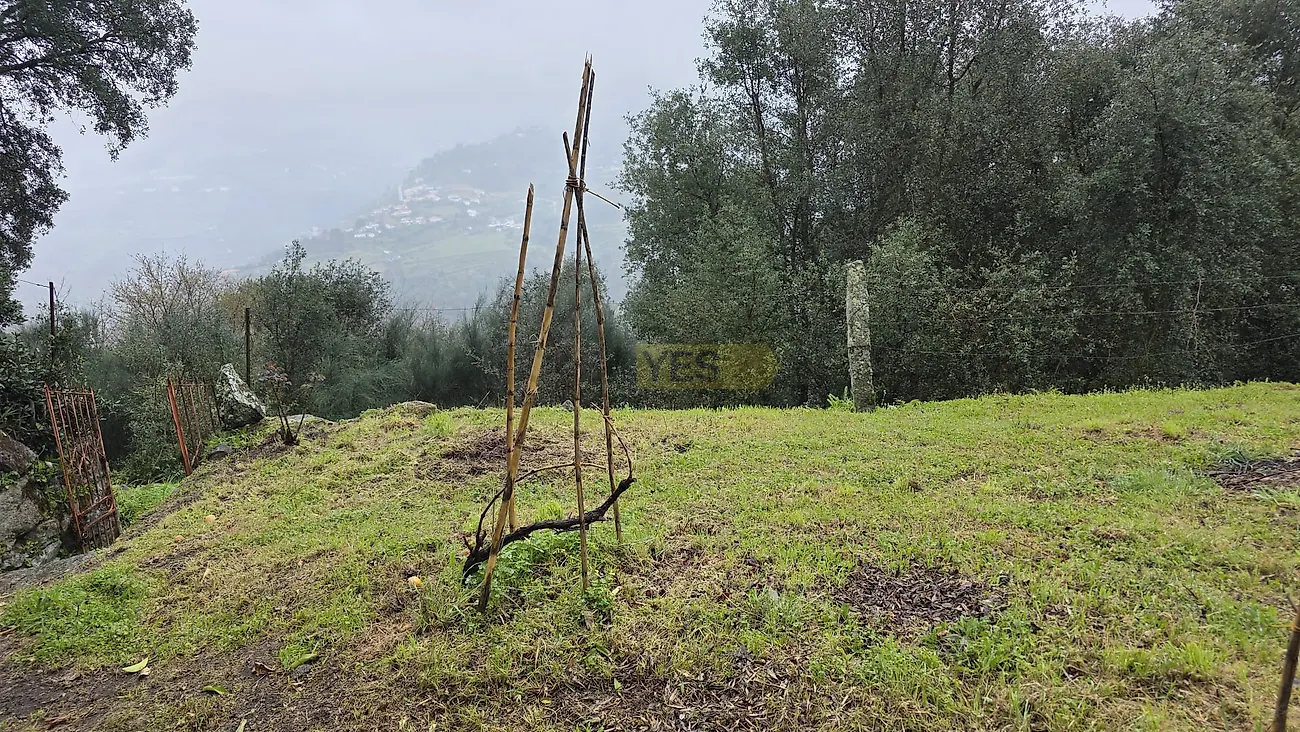 Moradia T3 à venda em Barqueiros, Mesão Frio — foto 31