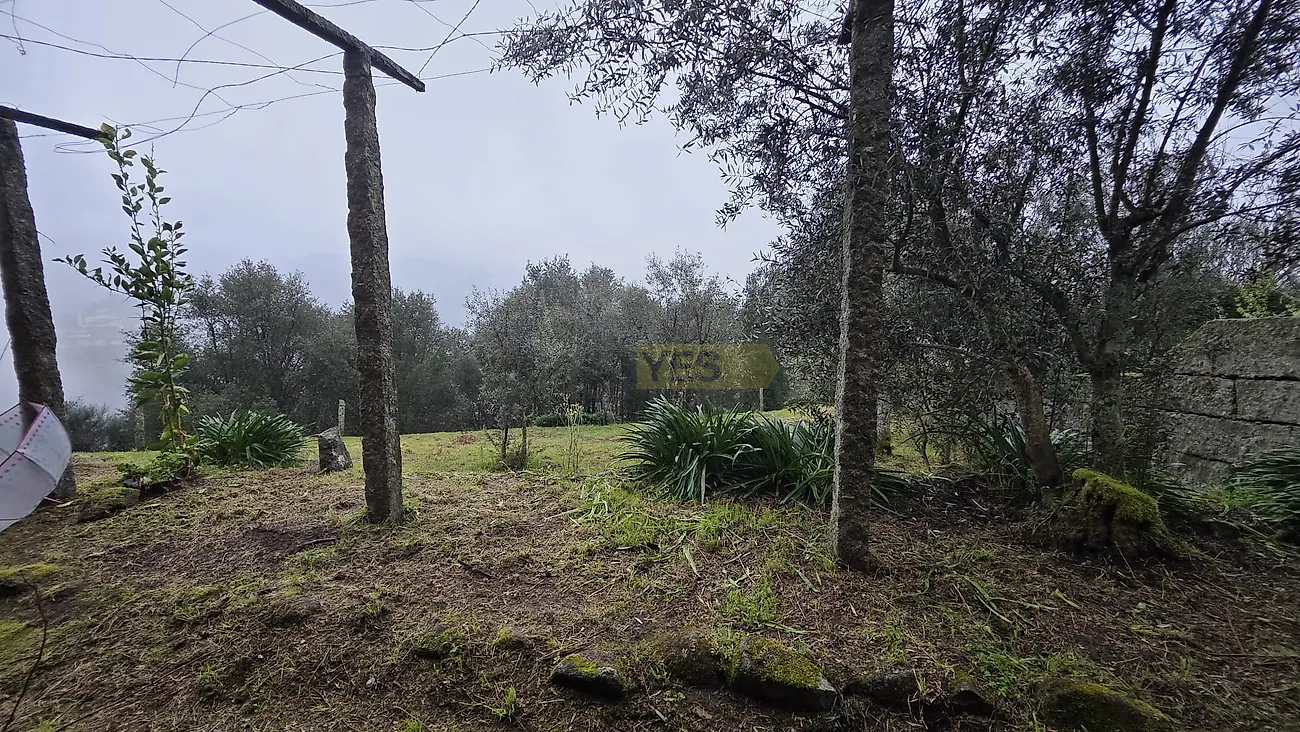 Moradia T3 à venda em Barqueiros, Mesão Frio — foto 37
