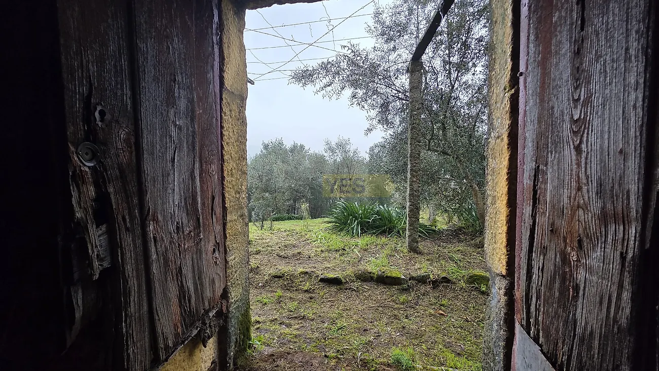 Moradia T3 à venda em Barqueiros, Mesão Frio — foto 38
