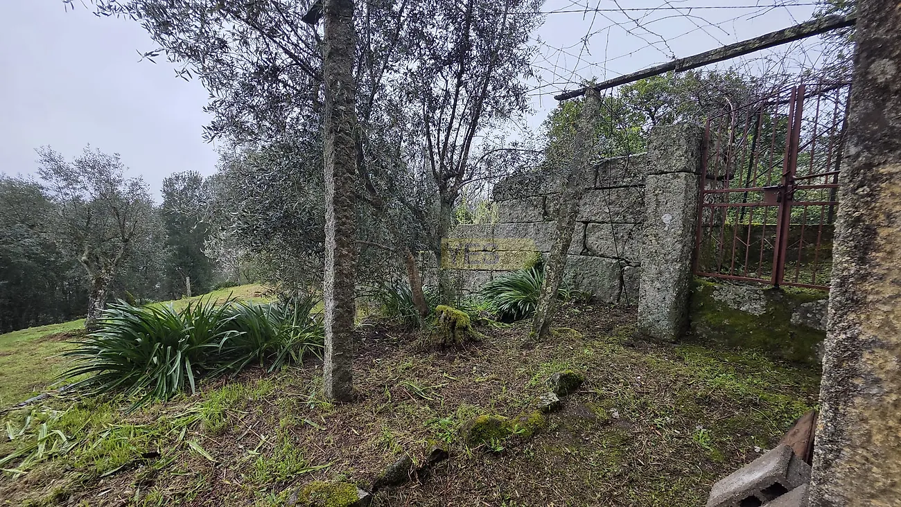 Moradia T3 à venda em Barqueiros, Mesão Frio — foto 39