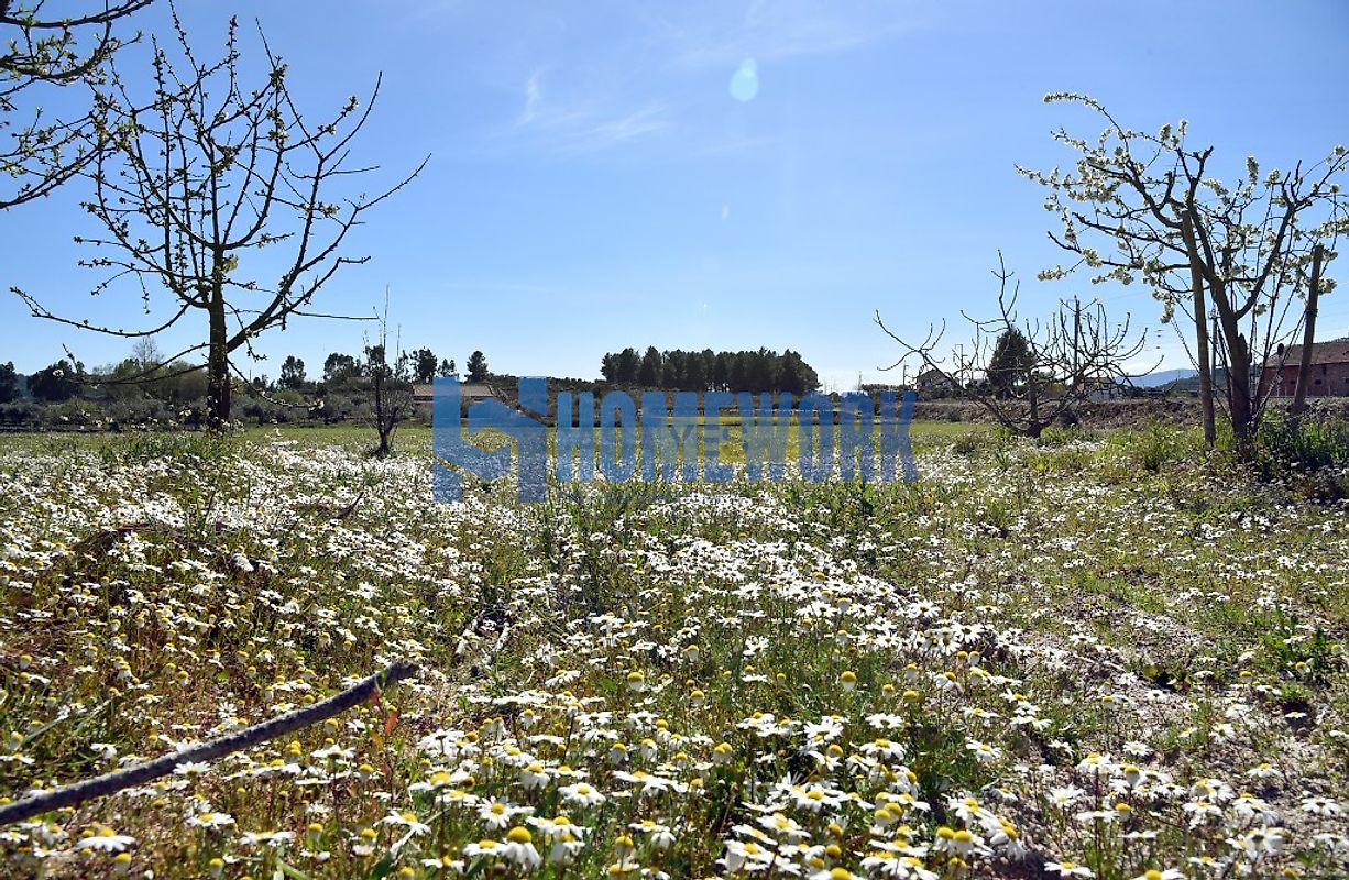 Moradia T3 à venda em Belmonte e Colmeal da Torre, Belmonte — foto 6