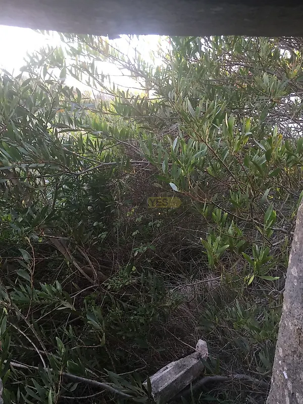 Moradia T1 à venda em Santiago dos Velhos, Arruda dos Vinhos — foto 17