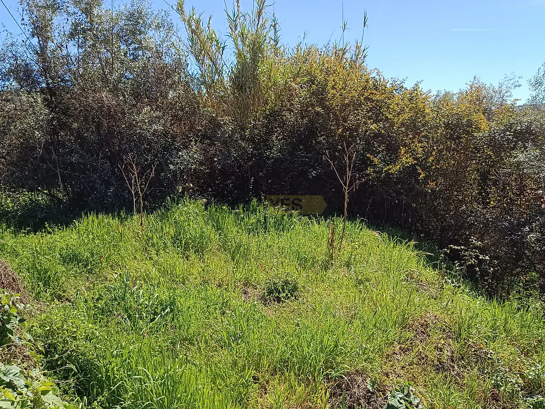 Moradia T0 à venda em Bendada, Sabugal — foto 8