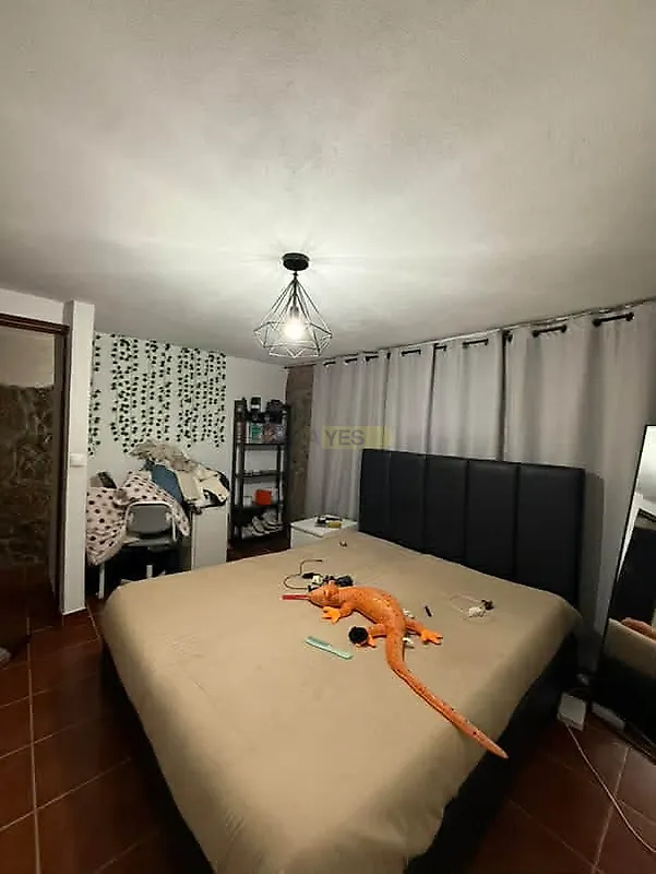 Moradia T3 à venda em Maçainhas, Belmonte — foto 8