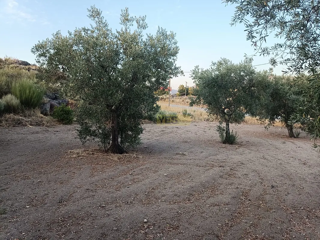 Moradia T0 à venda em Sortelha, Sabugal — foto 7